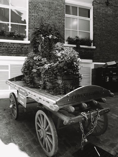 A wooden handcart rented from Man With a Van Covent Garden is positioned outdoors on a paved street, loaded with a large wooden planter filled with lush, well-maintained foliage and flowering plants. The planter is secured on the cart's flatbed surface, with some plants spilling slightly over the edges. The cart features large, spoked wheels and sturdy metal chains at the front for stability, ready for transportation as part of a home relocation or furniture transport process. In the background, there is a brick building with two large, white-framed sash windows decorated with flower boxes beneath each. The scene is lit with soft, natural daylight, indicating daytime conditions, and suggests the preparation for moving or the loading process of garden or household items, consistent with professional removals services provided by Man With a Van Covent Garden.